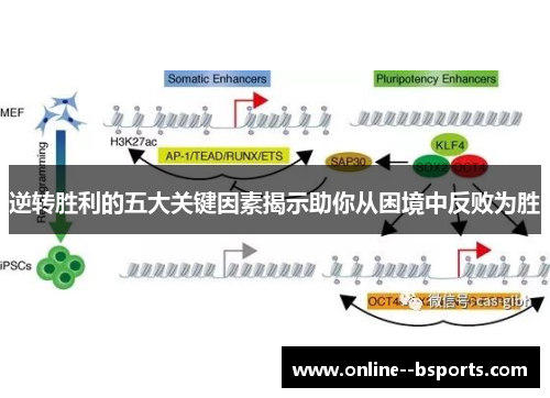 逆转胜利的五大关键因素揭示助你从困境中反败为胜