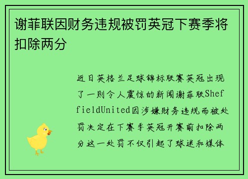 谢菲联因财务违规被罚英冠下赛季将扣除两分